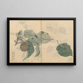 Ariyoshi Kondo - Sketchbook Pl050.webp