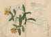 Skizzenbuch Pl052 - Ariyoshi Kondo — Ansicht des Kunstwerks