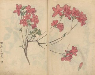 Skizzenbuch Pl056 - Ariyoshi Kondo — Ansicht des Kunstwerks
