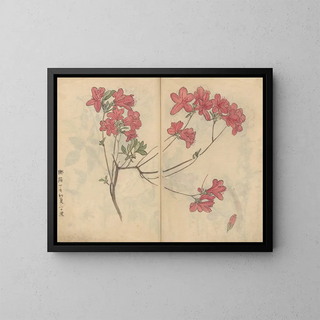 Skizzenbuch Pl056 - Ariyoshi Kondo — gerahmtes Bild an der Wand
