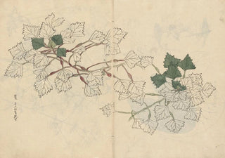 Ariyoshi Kondo - Sketchbook Pl057.webp
