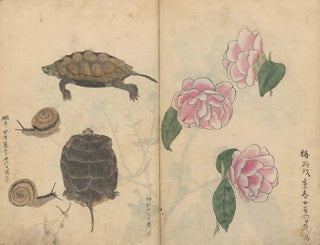 Ariyoshi Kondo - Sketchbook Pl060.webp
