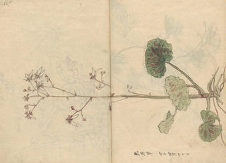 Ariyoshi Kondo - Sketchbook Pl061.webp