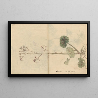 Ariyoshi Kondo - Sketchbook Pl061.webp