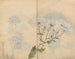Skizzenbuch Pl063 - Ariyoshi Kondo — Ansicht des Kunstwerks