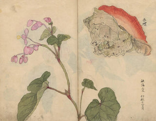 Skizzenbuch Pl066 - Ariyoshi Kondo — Ansicht des Kunstwerks