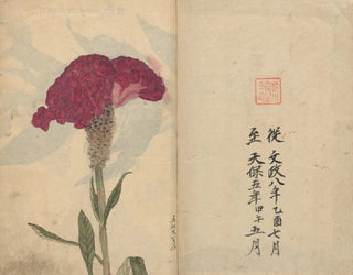 Ariyoshi Kondo - Sketchbook Pl068.webp