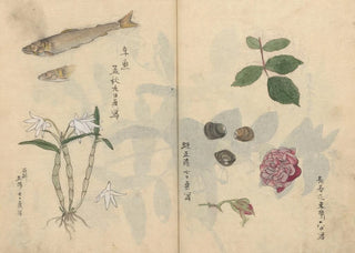 Ariyoshi Kondo - Sketchbook Pl069.webp