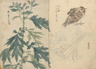 Ariyoshi Kondo - Sketchbook Pl070.webp
