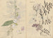 Skizzenbuch Pl072 - Ariyoshi Kondo — Ansicht des Kunstwerks