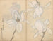 Carnet de croquis Pl077 - Ariyoshi Kondo — Ansicht des Kunstwerks