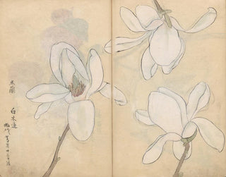 Ariyoshi Kondo - Sketchbook Pl077.webp