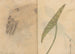 Carnet de croquis Pl084 - Ariyoshi Kondo — Ansicht des Kunstwerks