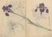 Skizzenbuch Pl085 - Ariyoshi Kondo — Ansicht des Kunstwerks