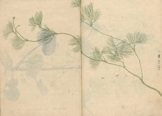 Ariyoshi Kondo - Sketchbook Pl089.webp