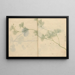 Ariyoshi Kondo - Sketchbook Pl089.webp