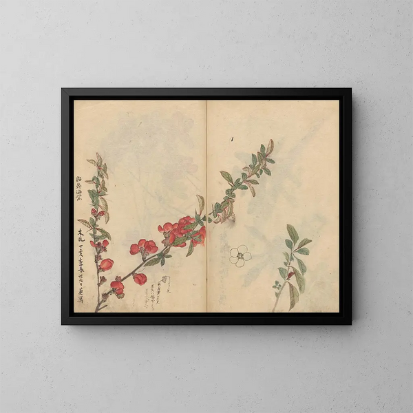 Skizzenbuch Pl090 - Ariyoshi Kondo — gerahmtes Bild an der Wand