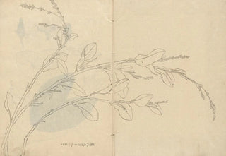 Ariyoshi Kondo - Sketchbook Pl093.webp