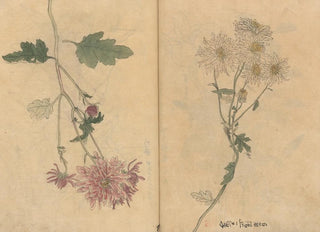 Ariyoshi Kondo - Sketchbook Pl098.webp