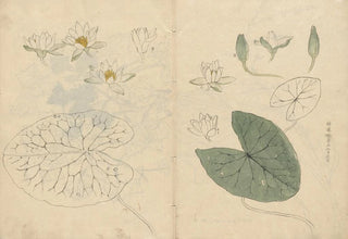 Ariyoshi Kondo - Sketchbook Pl100.webp