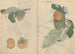 Skizzenbuch Pl106 - Ariyoshi Kondo — Ansicht des Kunstwerks
