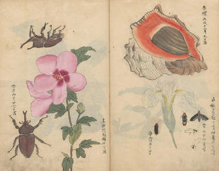 Ariyoshi Kondo - Sketchbook Pl108.webp