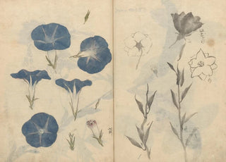 Ariyoshi Kondo - Sketchbook Pl112.webp