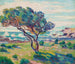 Landschaft des Südens gesehen vom Brusc - Armand Guillaumin — Ansicht des Kunstwerks