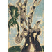 Reproduktion des Gemäldes Sycomore - Arthur Dove