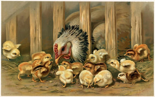 Arthur Fitzwilliam Tait - Kluck Kluck.webp