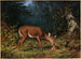 Amour maternel - Arthur Fitzwilliam Tait — Ansicht des Kunstwerks