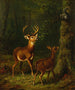 Die Adirondack-Wald - Arthur Fitzwilliam Tait — Ansicht des Kunstwerks