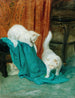 Katzen beim Spielen - Arthur Heyer — Ansicht des Kunstwerks