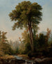 Ein natürlicher Monarch - Asher Brown Durand — Ansicht des Kunstwerks