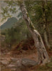 Ein Sycomore Plaaterkill Clove Le sycomore Kaaterskill Clove - Asher Brown Durand — Ansicht des Kunstwerks