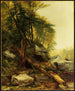 Landschaft von Kaaterskill - Asher Brown Durand — Ansicht des Kunstwerks