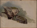 Studie eines Felsens - Asher Brown Durand — Ansicht des Kunstwerks