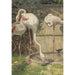 Drei rosa Flamingos in der Nähe eines Beckens - August Allebé — Ansicht des Kunstwerks