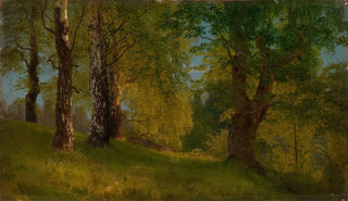 August Cappelen - Study of a Wood.webp