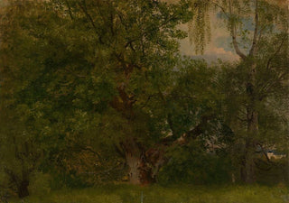August Cappelen - Wood near Ulefoss.webp