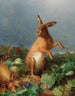 Ein Hase im Feld - August Heyn — Ansicht des Kunstwerks