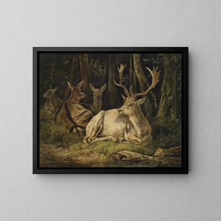 August Schleich - Dammwild.webp