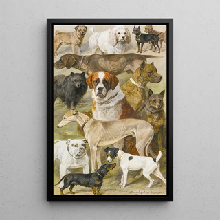 August Specht - Dog Studies.webp