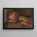 Löwe bei Artis Amsterdam - Auguste Allébé — gerahmtes Bild an der Wand