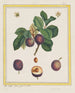 Prunentafel von Damaskus - B. Michel — Ansicht des Kunstwerks