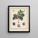 Prunentafel von Damaskus - B. Michel — gerahmtes Bild an der Wand