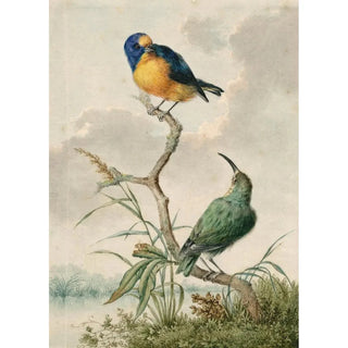 Barend Hendrik Thier - Two tropical birds 2.webp