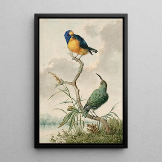 Barend Hendrik Thier - Two tropical birds 2.webp