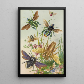 Barret And Sons - Bees And Their Conterfeits.webp