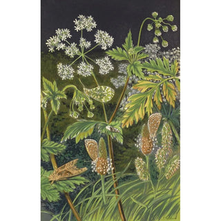 Barret And Sons - Butterflies And Moths In Disguise At Rest.webp